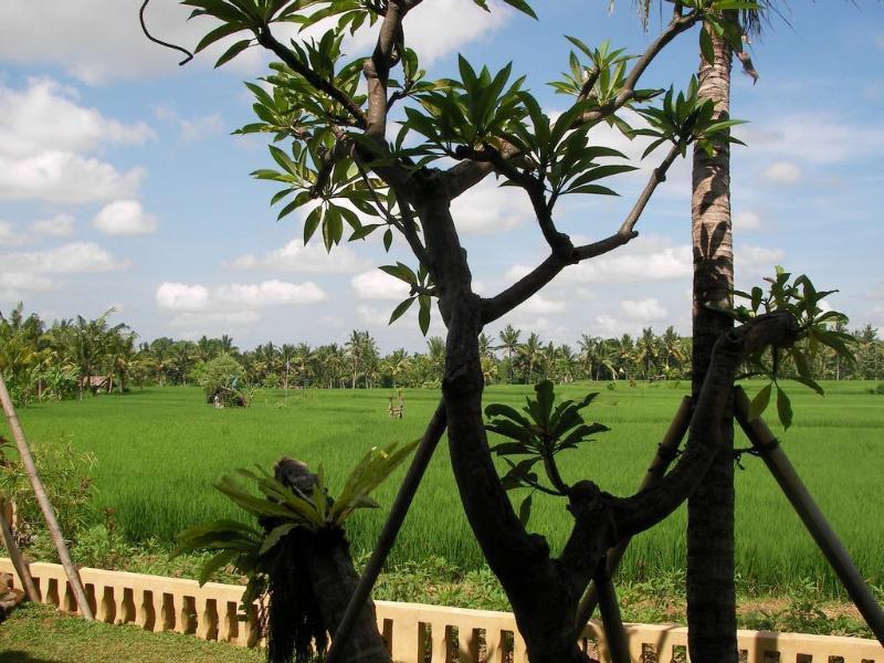 Green Field Hotel And Bungalow Ubud Exterior foto